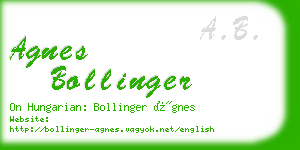 agnes bollinger business card
